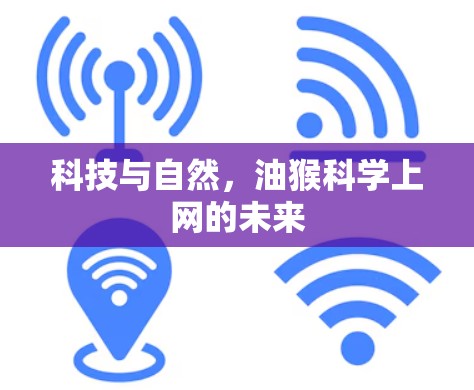 科技与自然,油猴科学上网的未来 科技与自然,油猴科学上网的未来