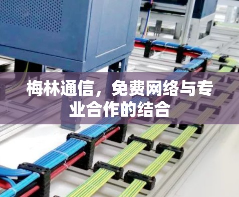 梅林通信，免费网络与专业合作的结合