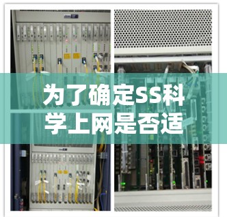 为了确定SS科学上网是否适合使用，请您提供以下信息