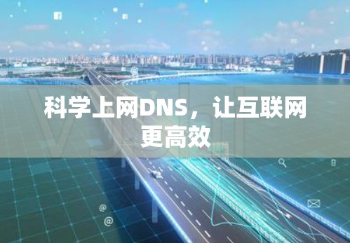 科学上网DNS，让互联网更高效