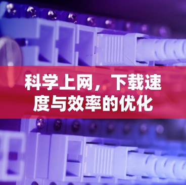 科学上网，下载速度与效率的优化