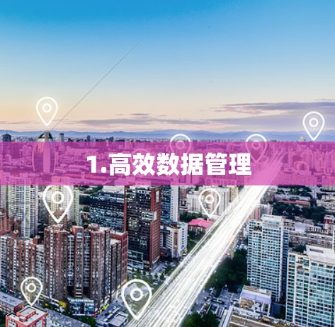 1.高效数据管理