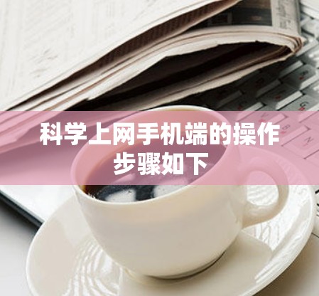 科学上网手机端的操作步骤如下