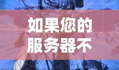 如果您的服务器不支持SSS，可以尝试以下方法