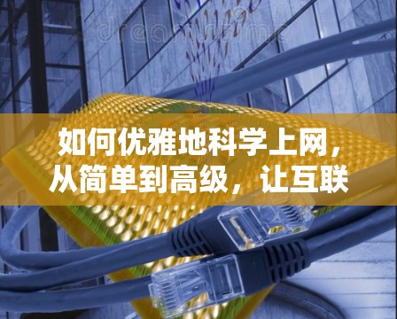 如何优雅地科学上网，从简单到高级，让互联网充满乐趣