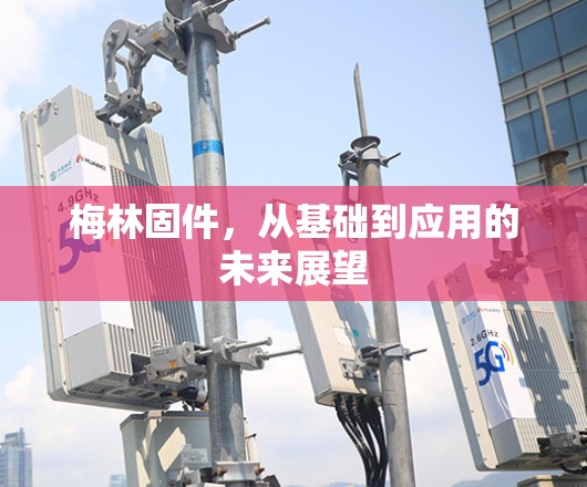 梅林固件，从基础到应用的未来展望