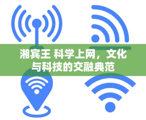 湘宾王 科学上网，文化与科技的交融典范