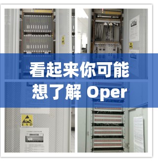 看起来你可能想了解 Opera 的安装包或应用，特别是针对安卓系统。以下是一些建议