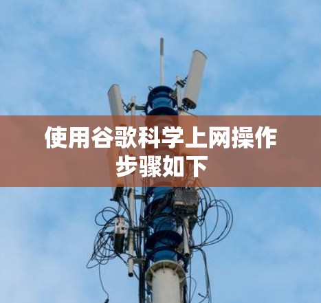 使用谷歌科学上网操作步骤如下