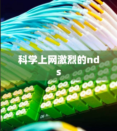 科学上网激烈的nds