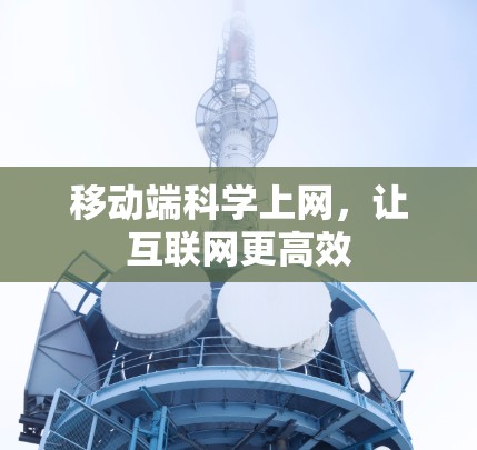 移动端科学上网，让互联网更高效