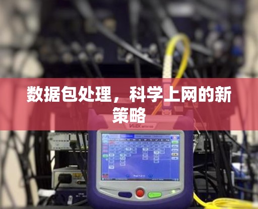 数据包处理，科学上网的新策略