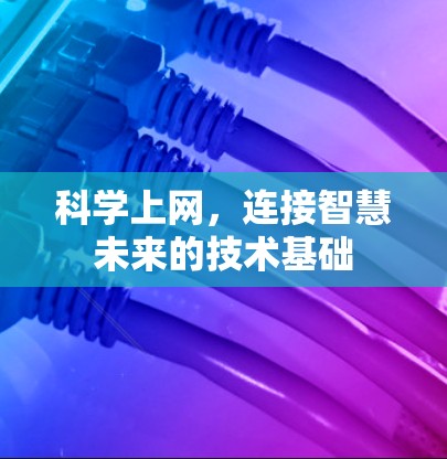 科学上网，连接智慧未来的技术基础