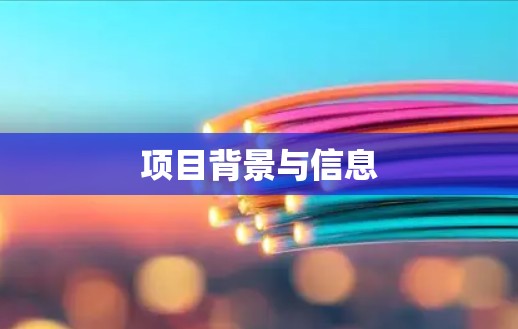 项目背景与信息