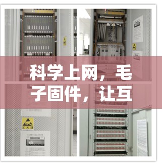 科学上网，毛子固件，让互联网更高效