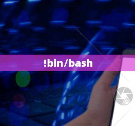 !bin/bash