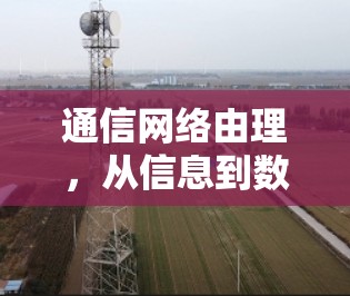 通信网络由理，从信息到数据的进化