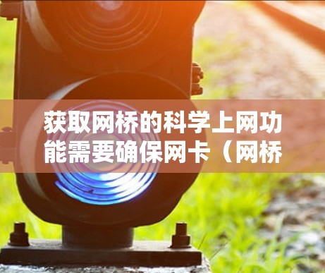 获取网桥的科学上网功能需要确保网卡（网桥）正常运行。以下是一些可能的步骤来解决这个问题
