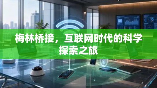 梅林桥接，互联网时代的科学探索之旅
