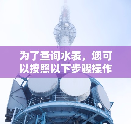 为了查询水表，您可以按照以下步骤操作