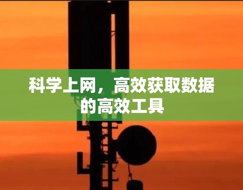 科学上网，高效获取数据的高效工具