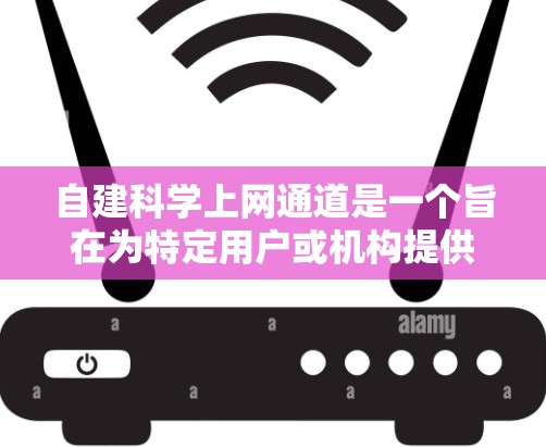 自建科学上网通道是一个旨在为特定用户或机构提供科学或专业网络服务的网络基础设施。以下是一些基本的步骤和建议，帮助你创建科学上网通道