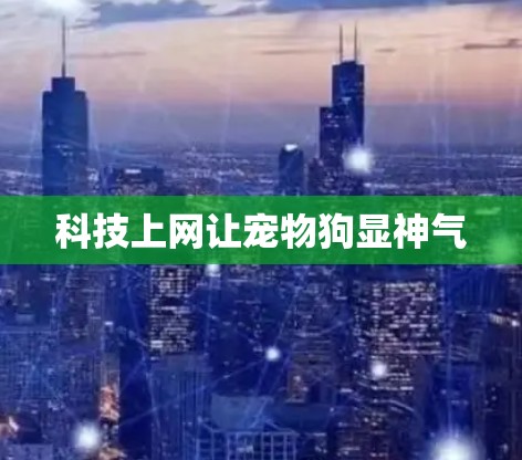 科技上网让宠物狗显神气