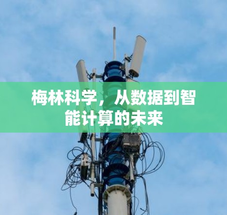 梅林科学，从数据到智能计算的未来