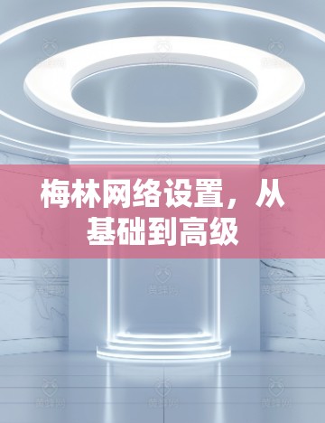 梅林网络设置，从基础到高级