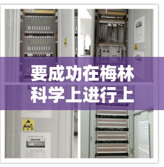 要成功在梅林科学上进行上网设置，您可以按照以下步骤进行操作