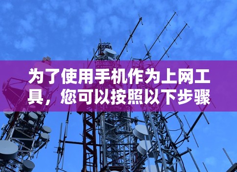 为了使用手机作为上网工具，您可以按照以下步骤操作