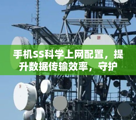手机SS科学上网配置，提升数据传输效率，守护网络安全