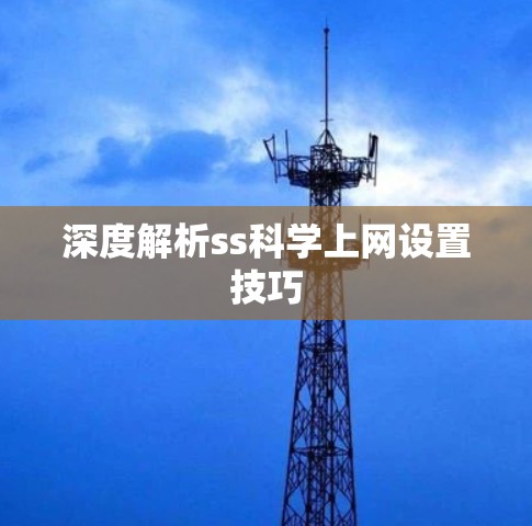 深度解析ss科学上网设置技巧
