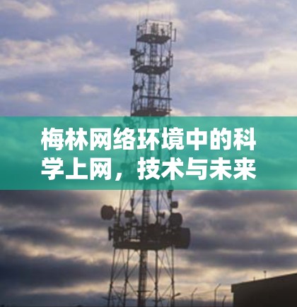 梅林网络环境中的科学上网，技术与未来