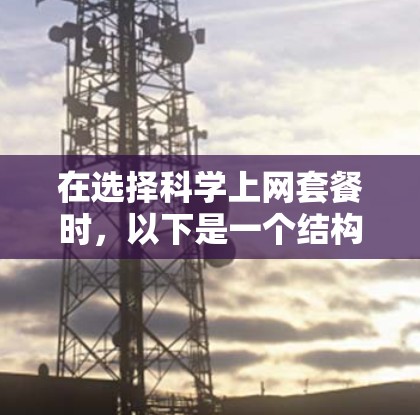 在选择科学上网套餐时，以下是一个结构化的总结，帮助你做出明智的决定