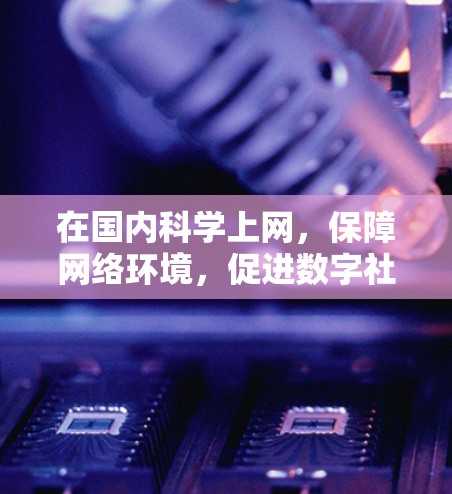 在国内科学上网，保障网络环境，促进数字社会发展