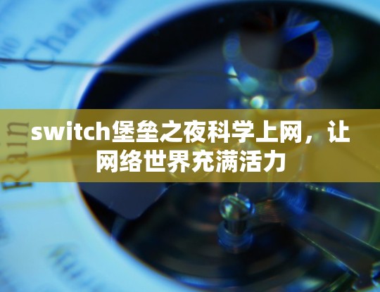 switch堡垒之夜科学上网，让网络世界充满活力