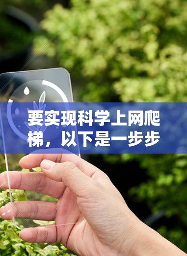 要实现科学上网爬梯，以下是一步步的解决方案