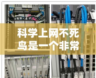 科学上网不死鸟是一个非常有趣的比喻，它代表着一种独特的、看似智能或高科技的上网体验。以下是对这一比喻的详细解读