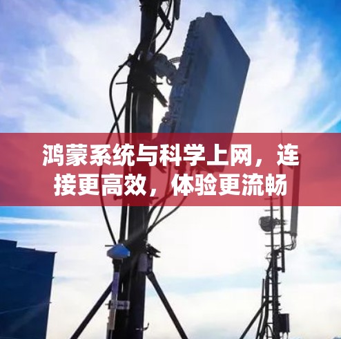 鸿蒙系统与科学上网，连接更高效，体验更流畅