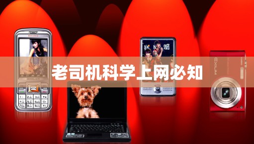 老司机科学上网必知