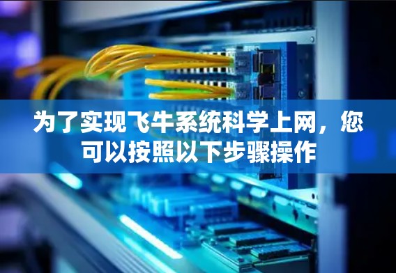 为了实现飞牛系统科学上网，您可以按照以下步骤操作