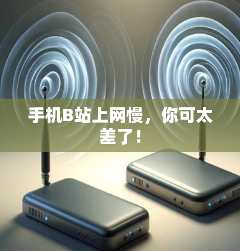 手机B站上网慢，你可太差了！