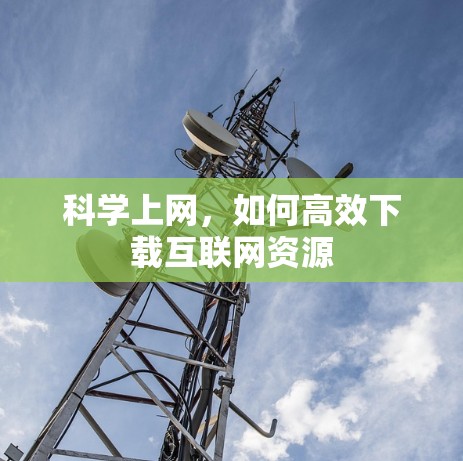 科学上网，如何高效下载互联网资源