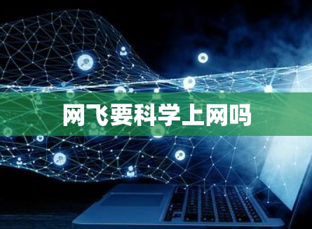 网飞要科学上网吗