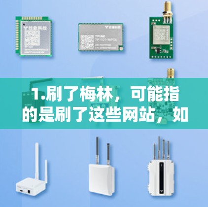 1.刷了梅林，可能指的是刷了这些网站，如Coursera、edX等，获取课程资源和学习机会