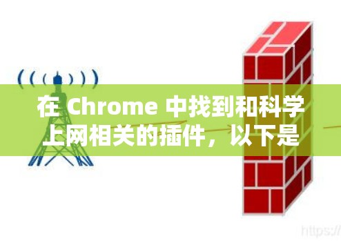 在 Chrome 中找到和科学上网相关的插件，以下是详细的步骤和推荐