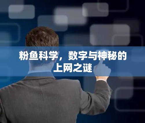 粉鱼科学，数字与神秘的上网之谜