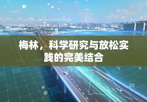 梅林，科学研究与放松实践的完美结合