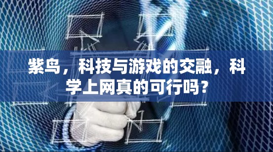 紫鸟，科技与游戏的交融，科学上网真的可行吗？